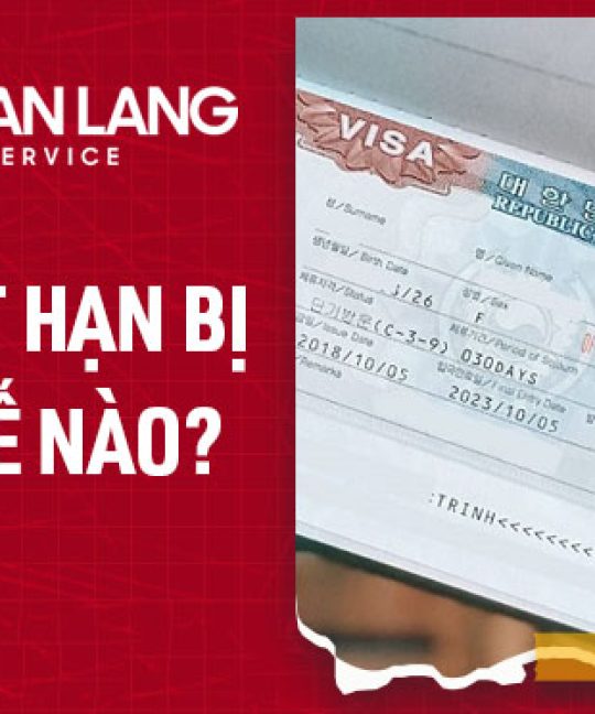 Xử phạt hết hạn, quá hạn visa tại Việt Nam và mức phí nộp phạt bao nhiêu T3/2025